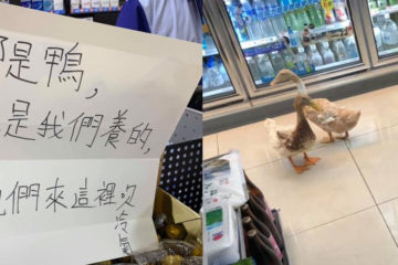 天氣太熱！超市有2隻鴨出沒，店員被問煩，直接貼公告「不是我們養的，牠們來吹冷氣」