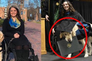 「服務犬」乖乖陪讀4年，穿著畢業服，和坐輪椅的麻麻一起畢業！