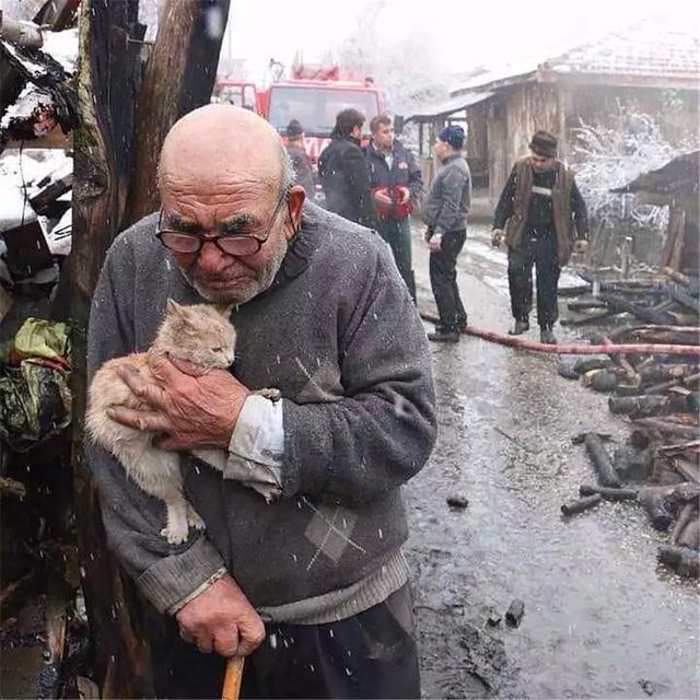 爺爺家中遭遇大火，抱著倖存貓咪默默痛哭，如今和小貓共度餘生！
